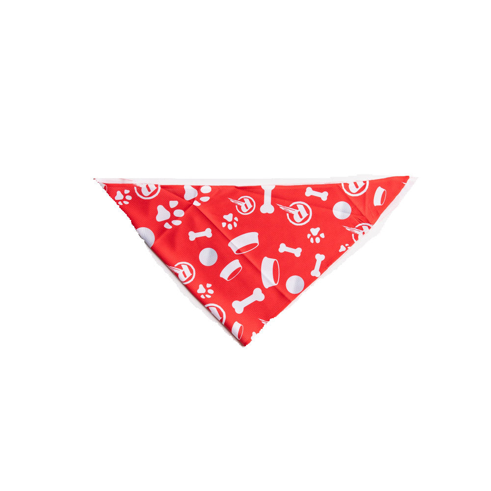 BBL Melbourne Renegades Dog Bandana