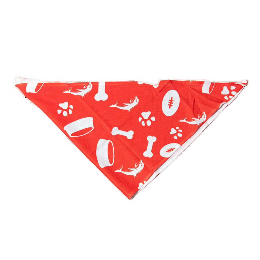 NRL Dolphins Pet Bandana