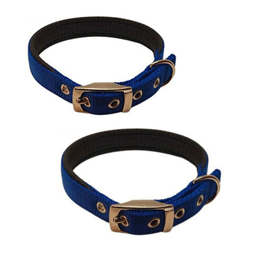 Nylon Padded Collar (Blue)