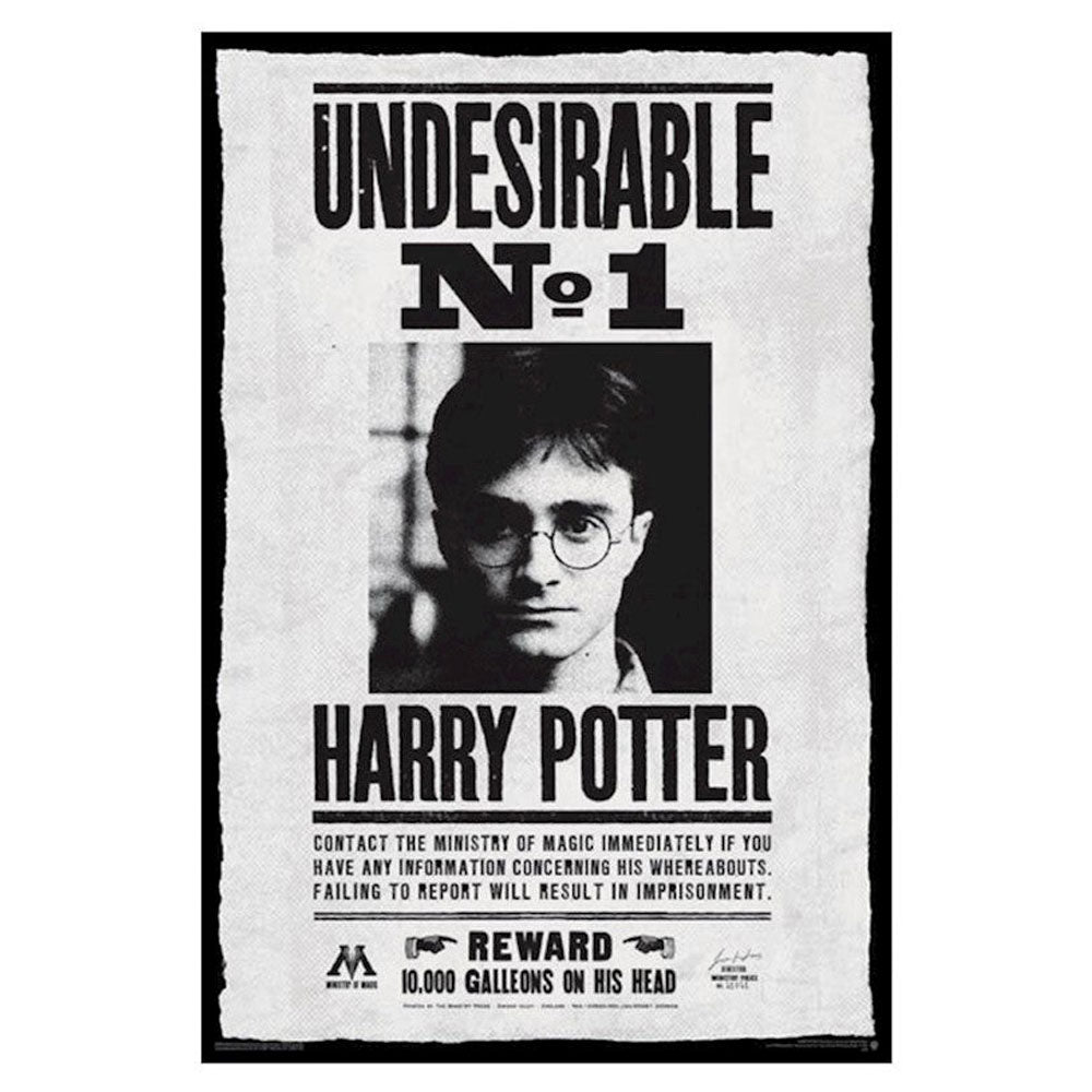 Harry Potter Poster