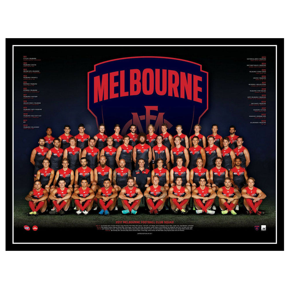 AFL 2017 Team Poster