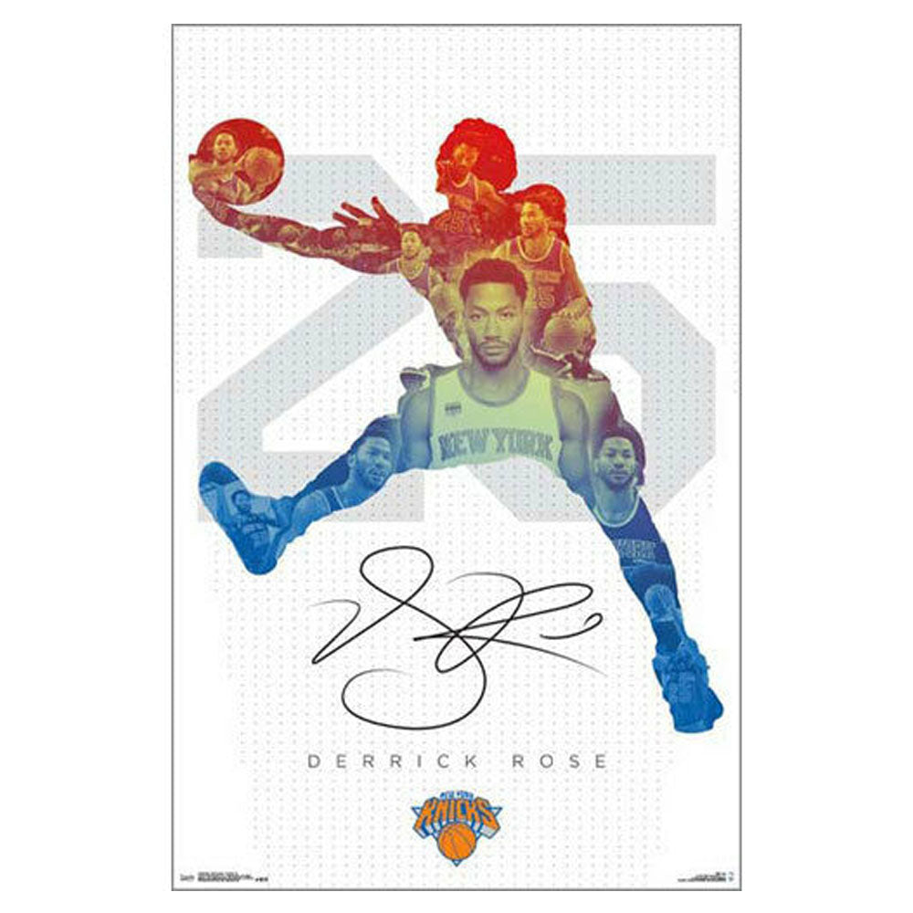 NBA New York Knicks Poster