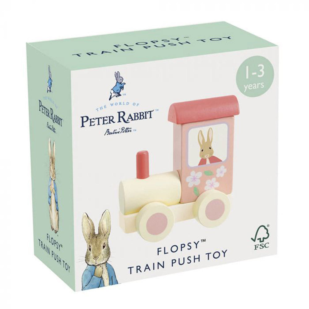 Flopsy Train Push Toy