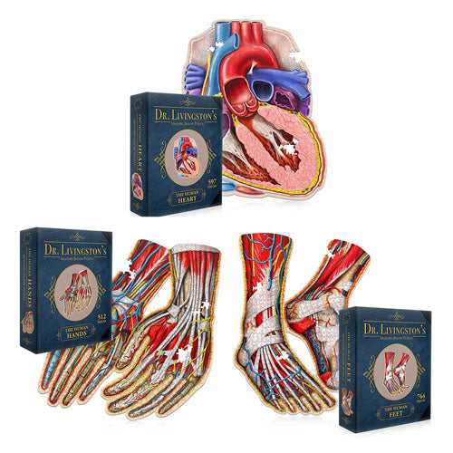 Dr. Livingston's Anatomy Jigsaw Puzzle