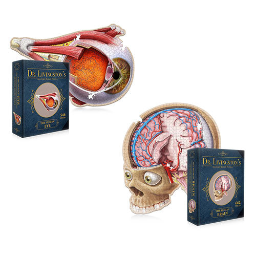 Dr. Livingston's Anatomy Jigsaw Puzzle