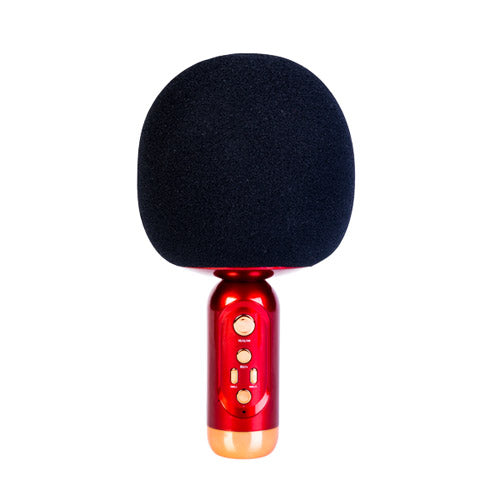 Premium Portable Wireless Karaoke