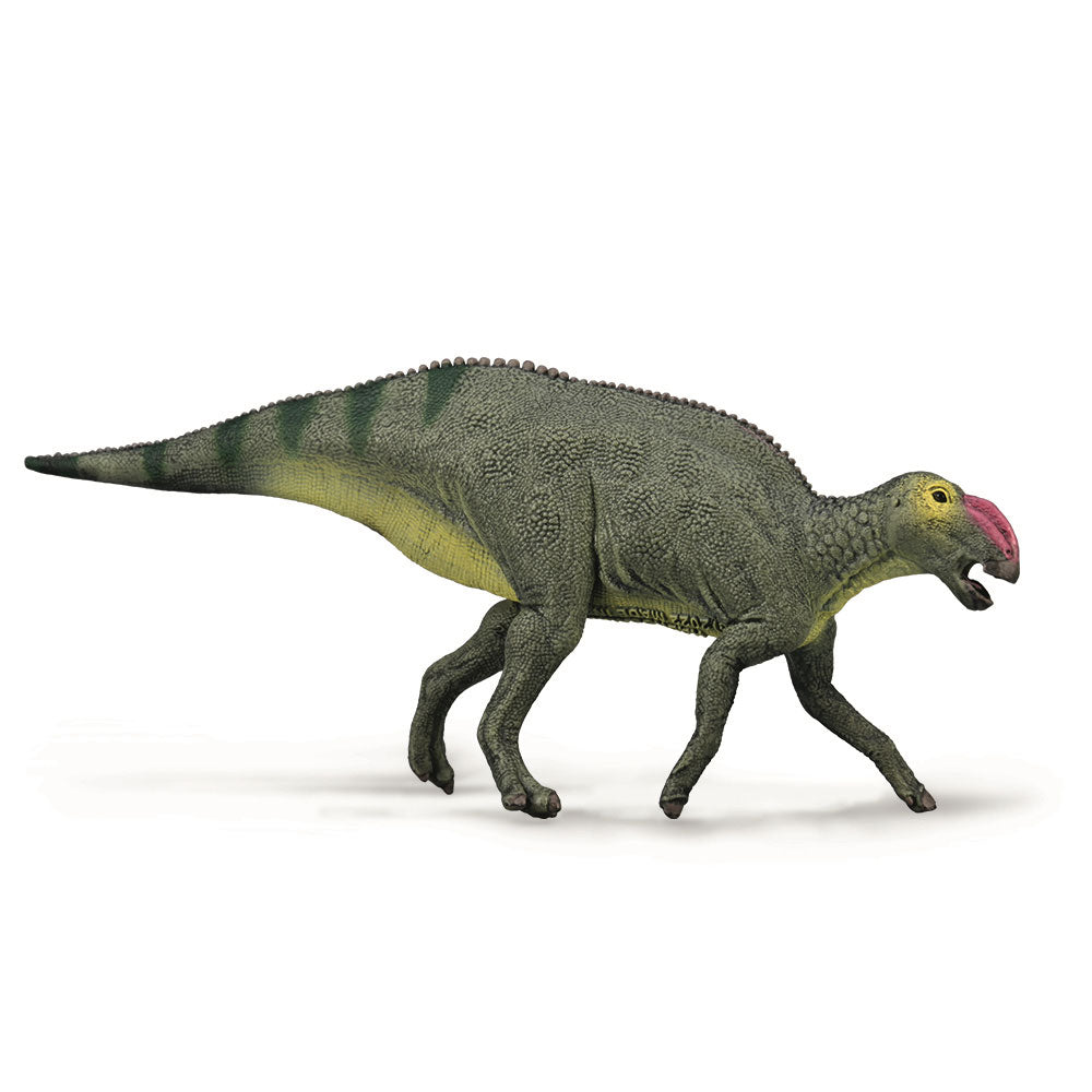 CollectA Hadrosaurus Dinosaur Figure (Medium)