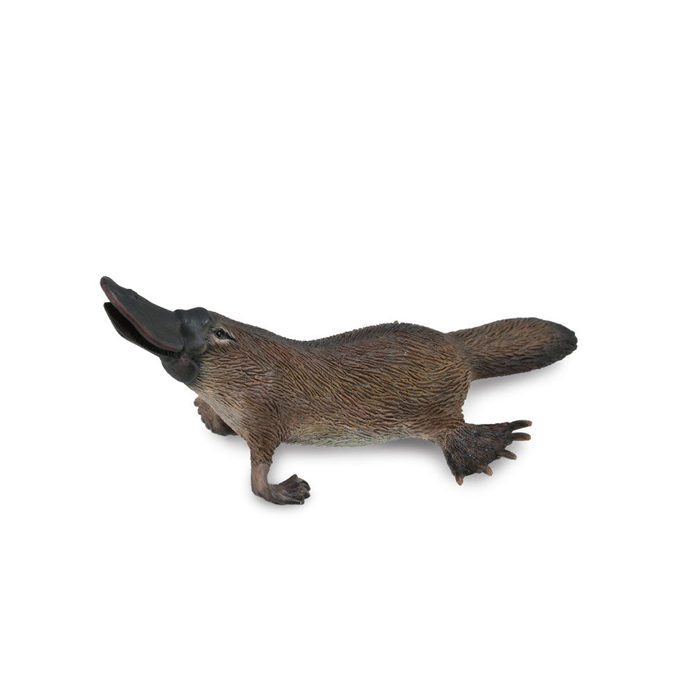 CollectA Platypus Figure (Medium)