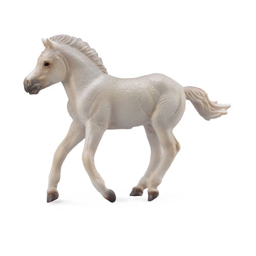 CollectA Fjord Foal Figure (Medium)