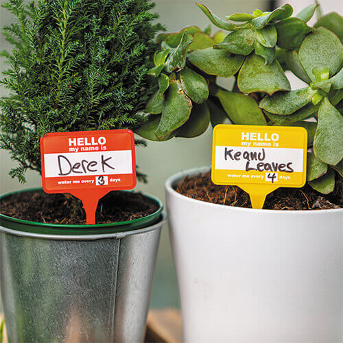 Bubblegum Stuff Plant Name Badges